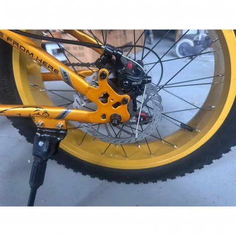 Bicicleta Go kart 20 inch Fat Caraiman, 21 viteze, frana disc, pentru copii, auriu