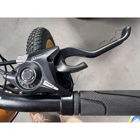 Bicicleta Go kart 20 inch Fat Caraiman, 21 viteze, frana disc, pentru copii, auriu