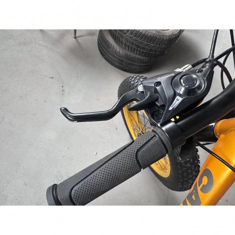 Bicicleta Go kart 20 inch Fat Caraiman, 21 viteze, frana disc, pentru copii, auriu